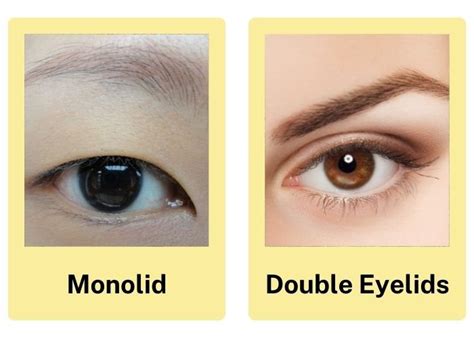 Monoliden (vs. dubbele oogleden)